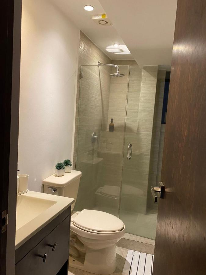 Corazon De Condesa Daire Meksika Dış mekan fotoğraf