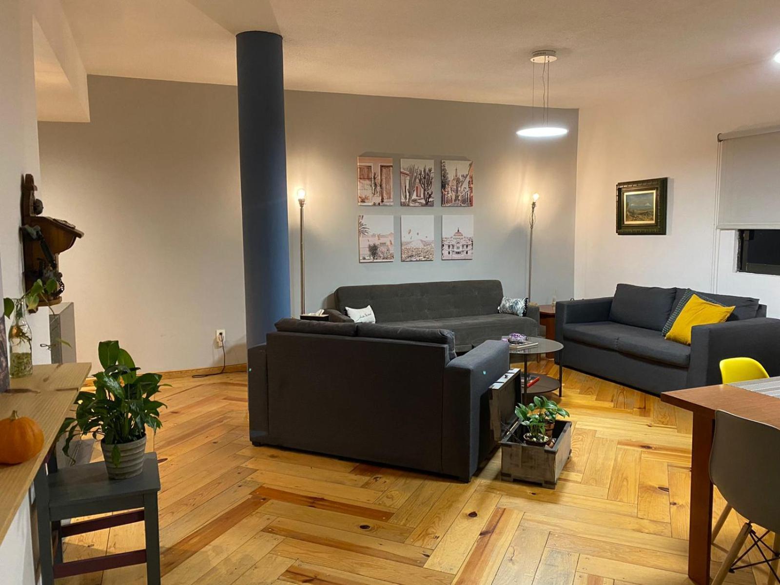 Corazon De Condesa Daire Meksika Dış mekan fotoğraf